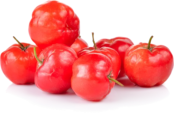 Acerola